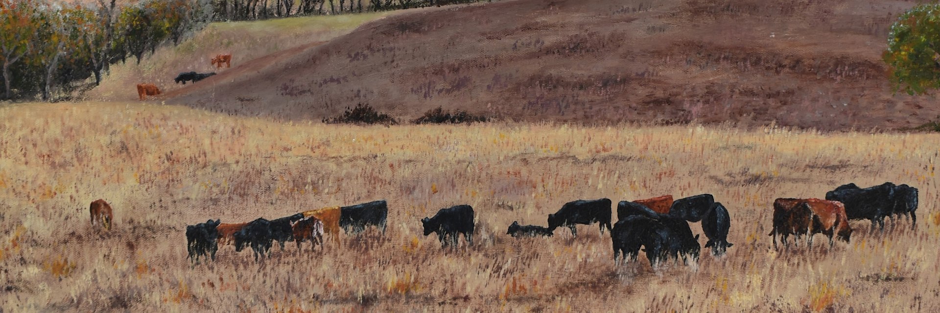 
        <div class='title'>
          Flint Hills
        </div>
       
        <div class='description'>
          
        </div>
      
