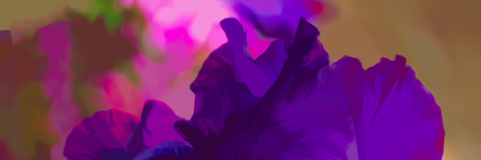 
        <div class='title'>
          Iris Abs for Bill
        </div>
       
        <div class='description'>
          
        </div>
      