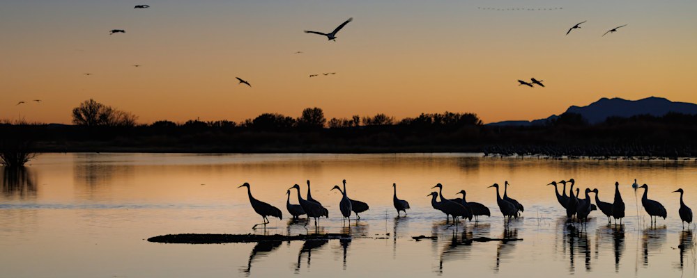 
        <div class='title'>
          Stork Sunset Takeoff
        </div>
       
        <div class='description'>
          
        </div>
      