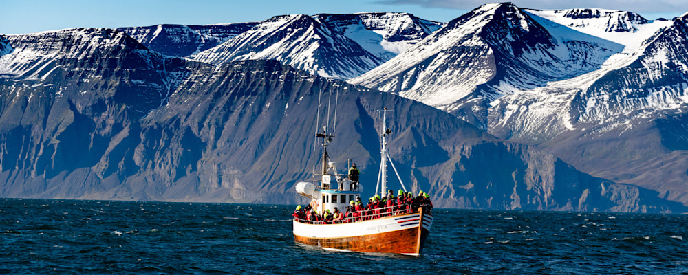 
        <div class='title'>
          Husavik whalewatch
        </div>
       
        <div class='description'>
          
        </div>
      