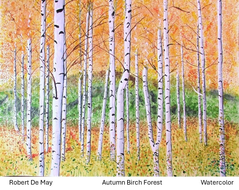 
        <div class='title'>
          Autumn Birch Forest SAF
        </div>
       
        <div class='description'>
          
        </div>
      