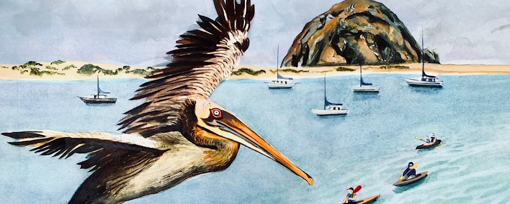 
        <div class='title'>
          Pelican’s View
        </div>
       
        <div class='description'>
          
        </div>
      