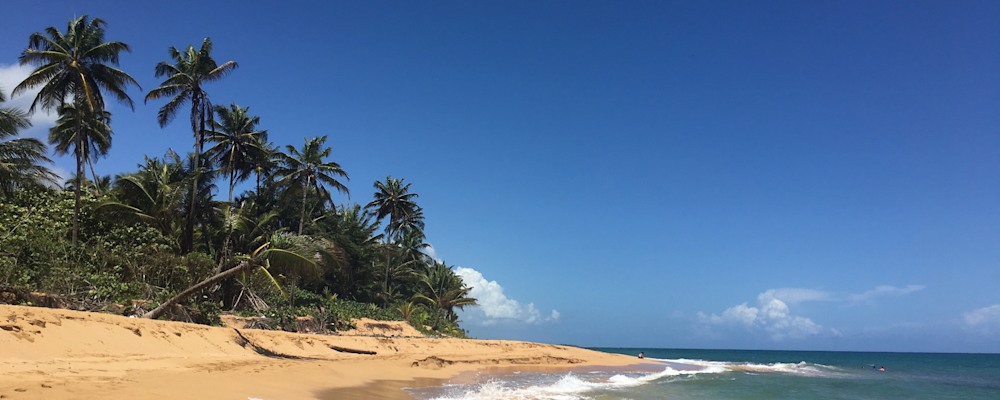 
        <div class='title'>
          Loiza, Puerto Rico 11
        </div>
       
        <div class='description'>
          
        </div>
      