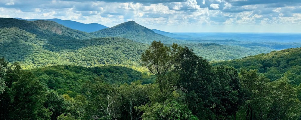 
        <div class='title'>
          Mountain Majesty 
        </div>
       
        <div class='description'>
          
        </div>
      