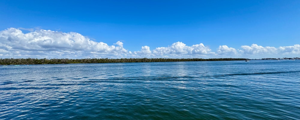 
        <div class='title'>
          Clouds on back bay waters
        </div>
       
        <div class='description'>
          
        </div>
      