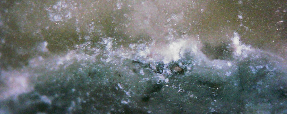 
        <div class='title'>
          Tempest
        </div>
       
        <div class='description'>
          
        </div>
      