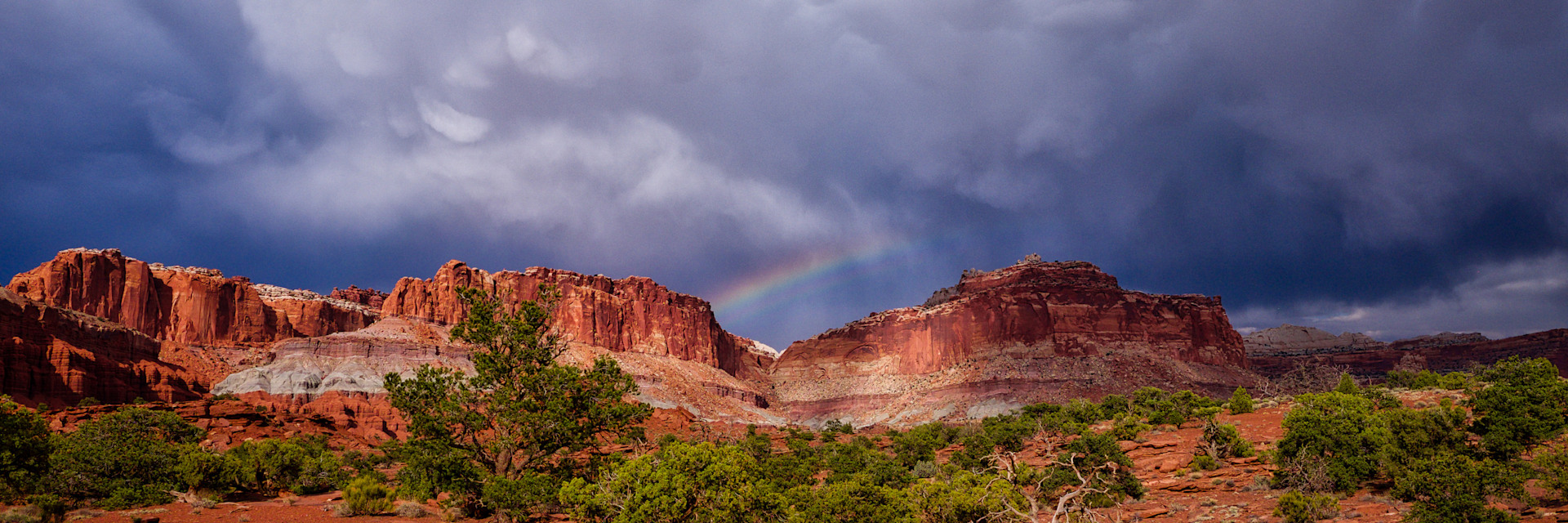 
        <div class='title'>
          Capital Reef
        </div>
       
        <div class='description'>
          
        </div>
      