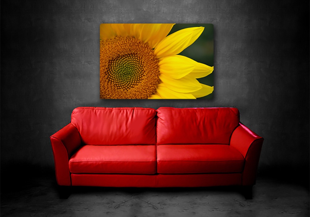 Couch w sunflower 2 jc4pyz
