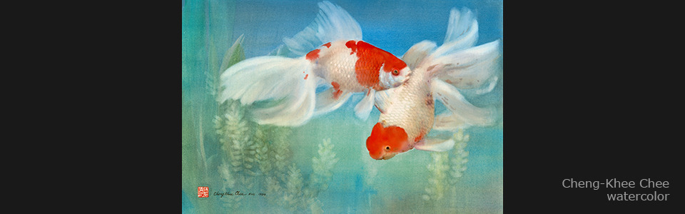 01 goldfish 90 1 30 x20    text z7alws