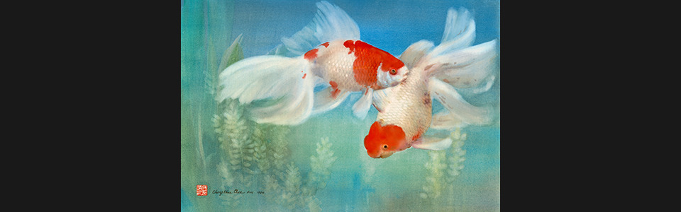 01 goldfish 90 1 30 x20  uiwlcf