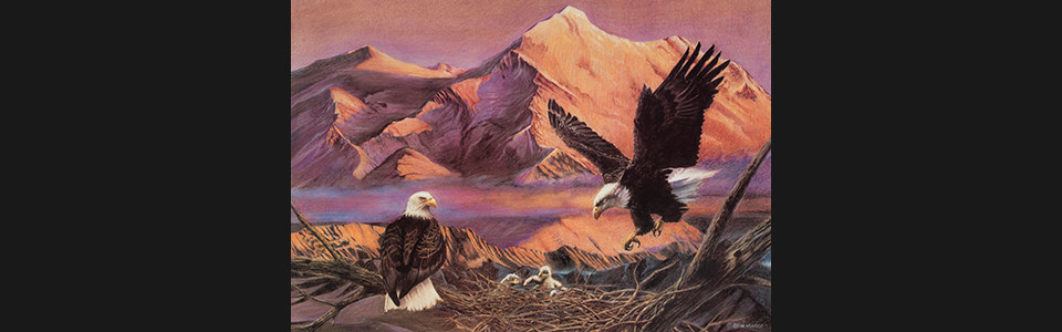 1987 by dawn s early light hyfrqo