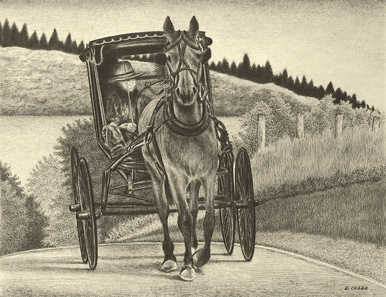 Amish buggy ku0pwl
