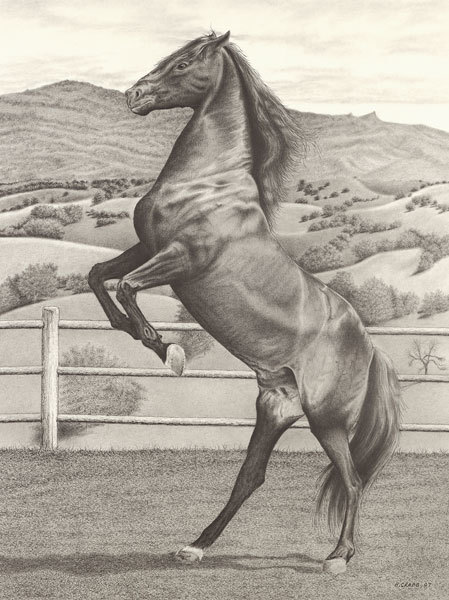 Horse rearing l2z6cf