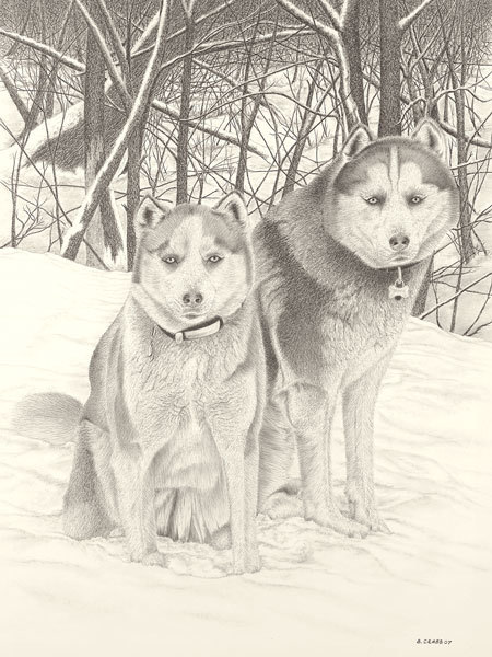 Huskies umiynh