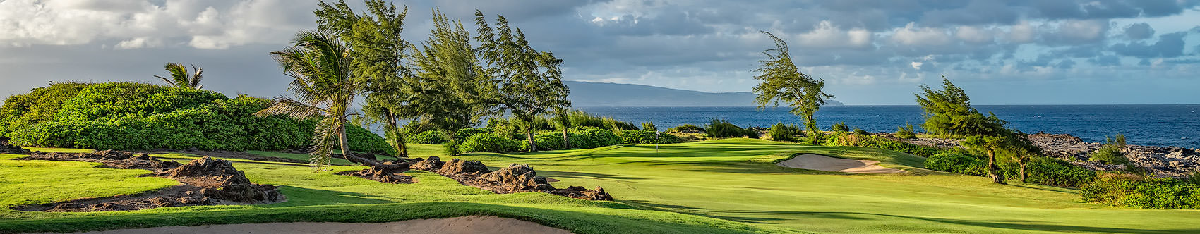 
        <div class='title'>
          4TH HOLE, KAPALUA'S BAY COURSE
        </div>
       
        <div class='description'>
          My favorite shot from a Fall 2015 shoot at Kapalua's Bay Course, on Maui
        </div>
      