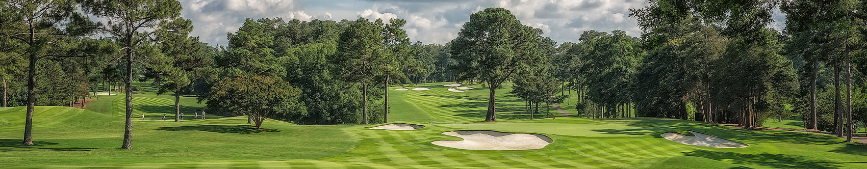 
        <div class='title'>
          PEACHTREE GOLF CLUB, ATLANTA, GEORGIA, 7TH HOLE
        </div>
       
        <div class='description'>
          A perfect Summer afternoon on the 7th hole, at storied Peachtree Golf Club, in Atlanta, Georgia.
        </div>
      