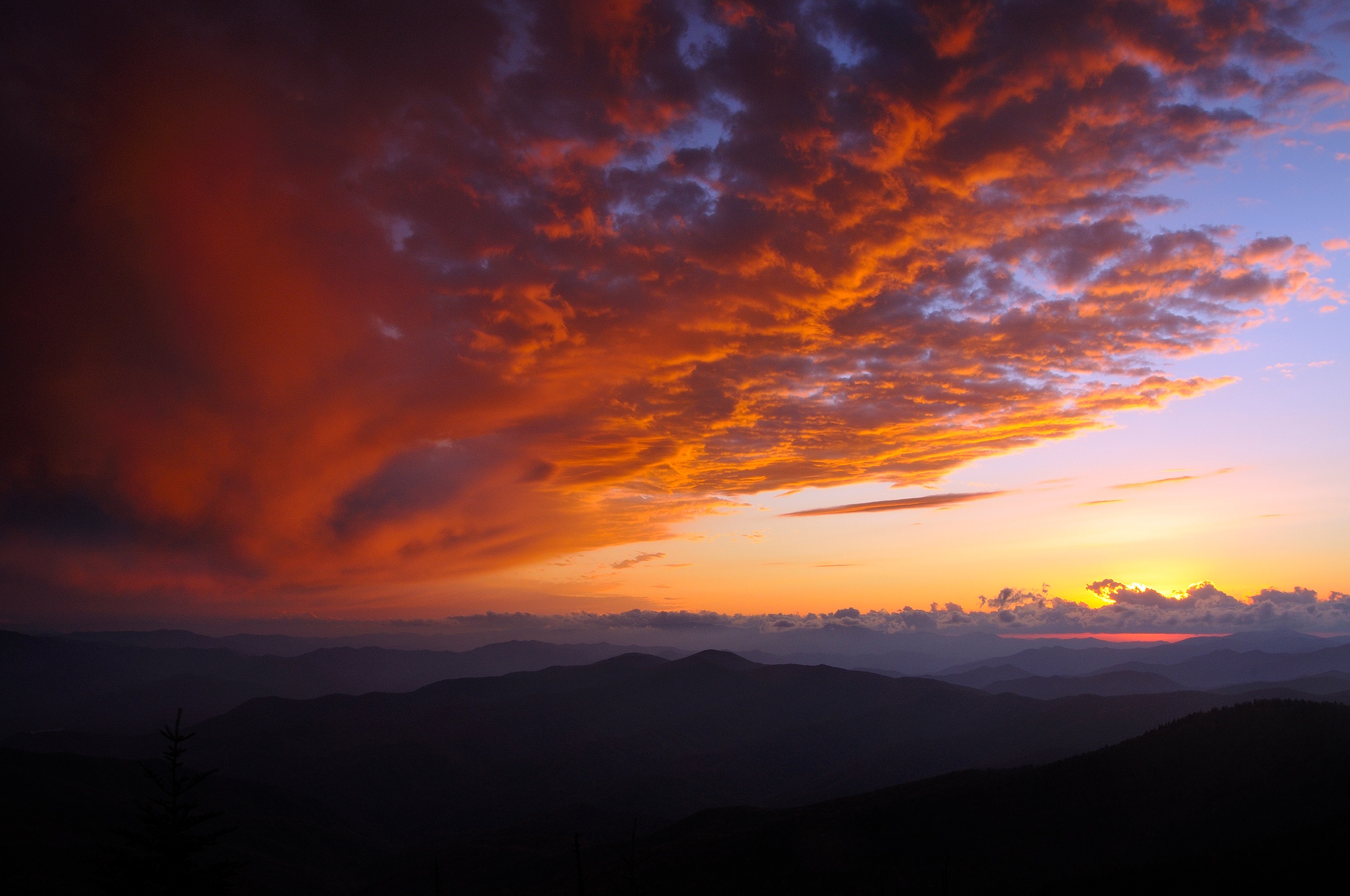 
        <div class='title'>
          Sunset-at-Clingman-s-Dome
        </div>
       
        <div class='description'>
          Sunset at Clingmans Dome
        </div>
      