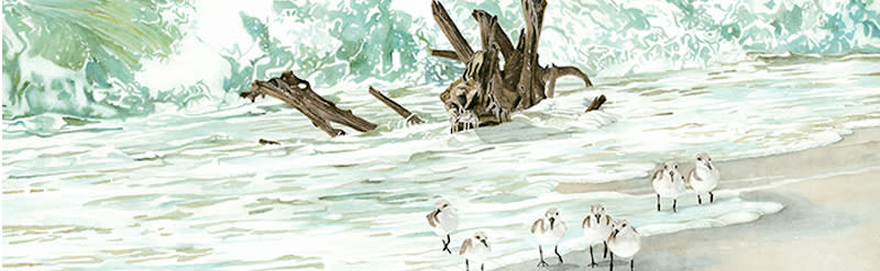 
        <div class='title'>
          Driftwood in the Sur Sliderf
        </div>
       