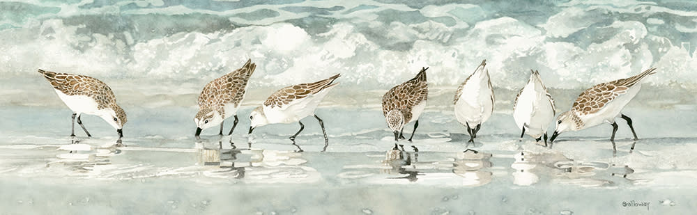 
        <div class='title'>
          Sandpipers on the Beach slider
        </div>
       