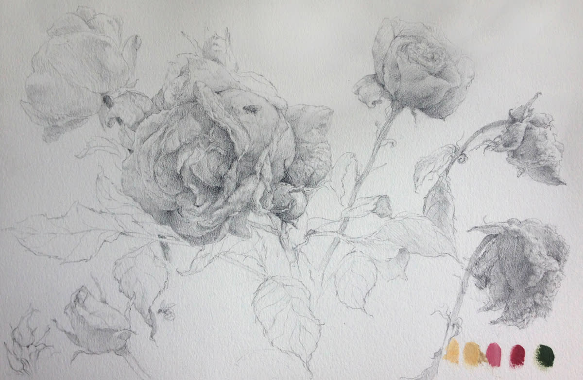 Art Of Jason Rafferty Art Classes And Workshops In