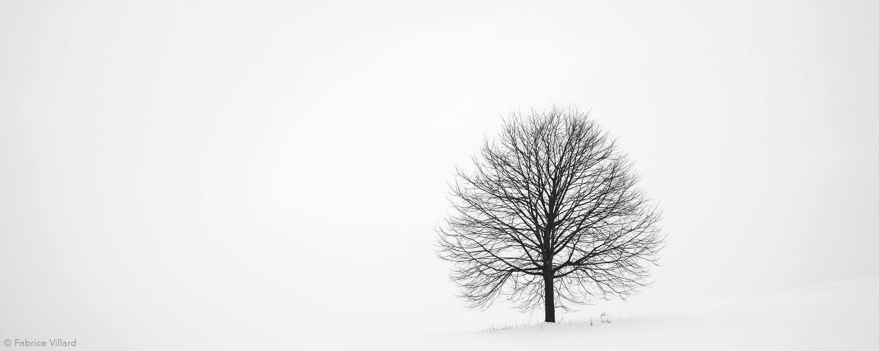 Moab Moenkopi Unryu Rice Paper Inkjet Printable Rice Paper