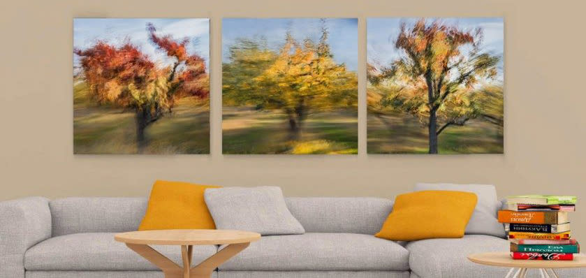 
        <div class='title'>
          free modern livingroom mockup1 900x428
        </div>
       