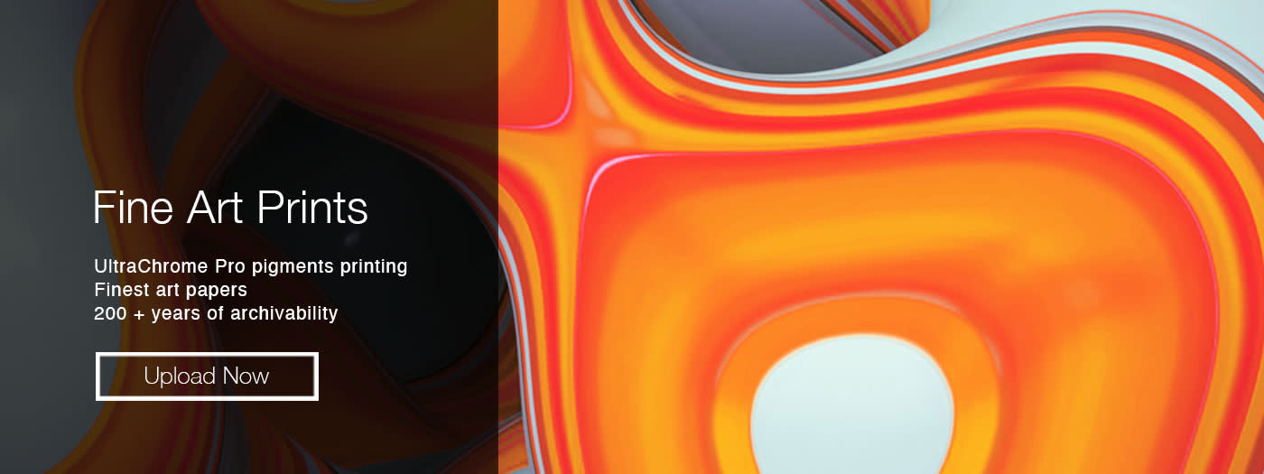 
        <div class='title'>
          fineart 2020 color new wave UploadNow
        </div>
       
        <div class='description'>
          
        </div>
      