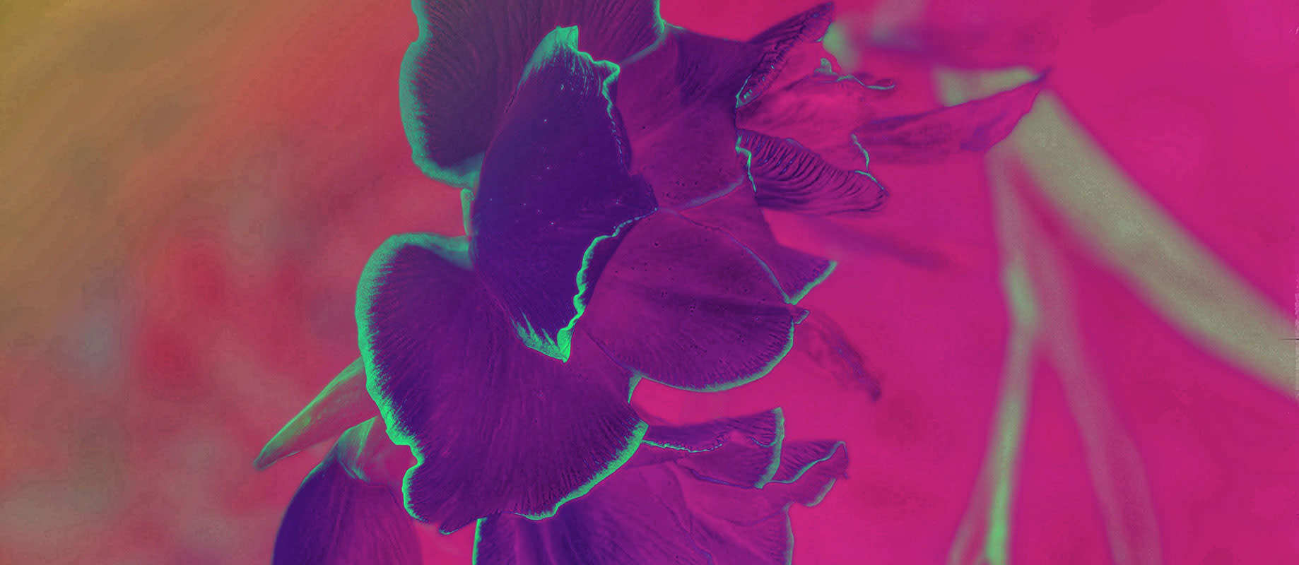 
        <div class='title'>
          20200708 020752 polarr filter1339033460979266118 01 BANNER 3
        </div>
       