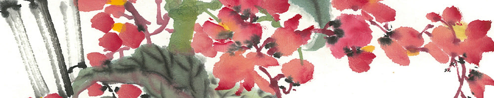
        <div class='title'>
          Banner begonia 1000x200
        </div>
       