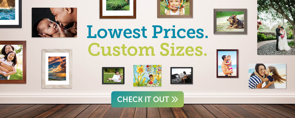 
        <div class='title'>
          Pictures Plus pricing table
        </div>
       
        <div class='description'>
          Pricing for metal, canvas and photo paper prints in popular and custom sizes.
        </div>
      
