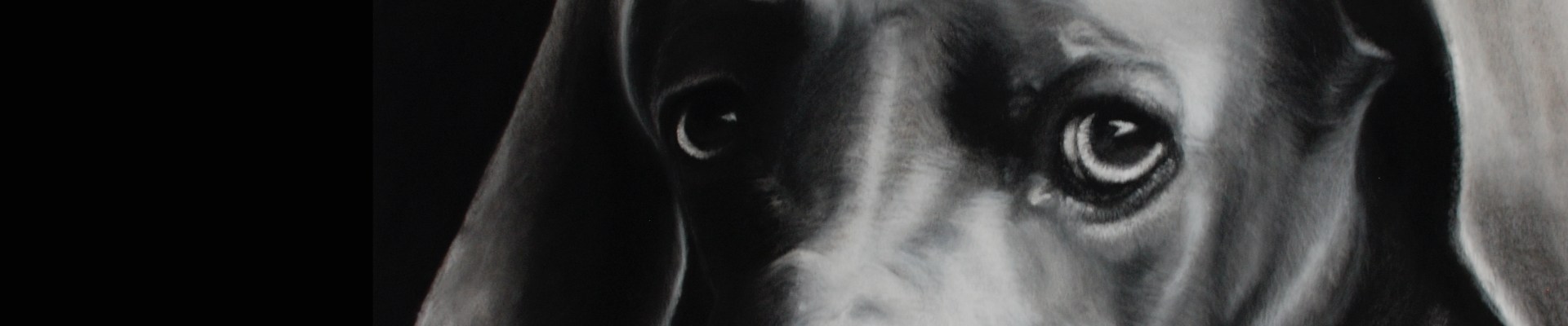 
        <div class='title'>
          COMMISSION BANNER@2x
        </div>
       