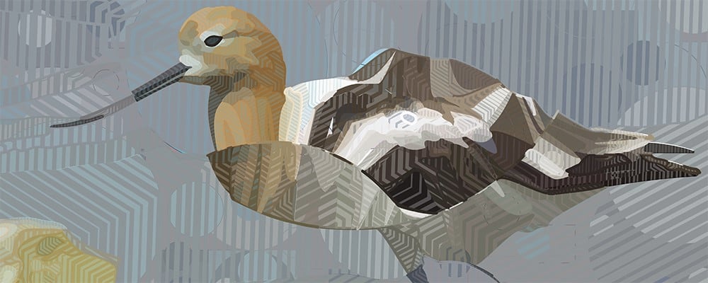 
        <div class='title'>
          image
        </div>
       