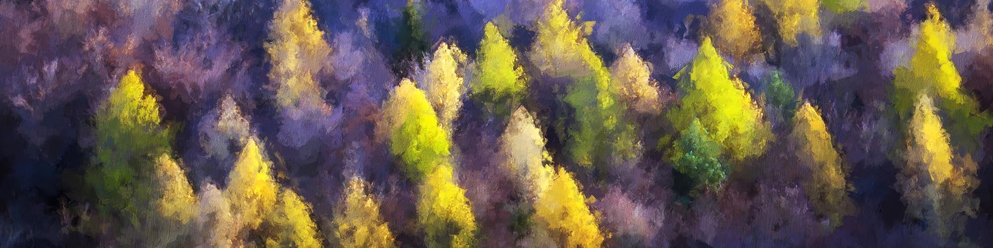 
        <div class='title'>
          Aspen Grove 2000x500
        </div>
       