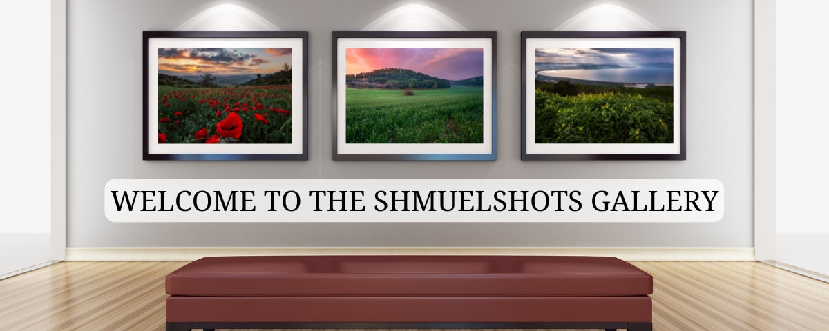 
        <div class='title'>
          WELCOME TO THE SHMUELSHOTS GALLERY
        </div>
       