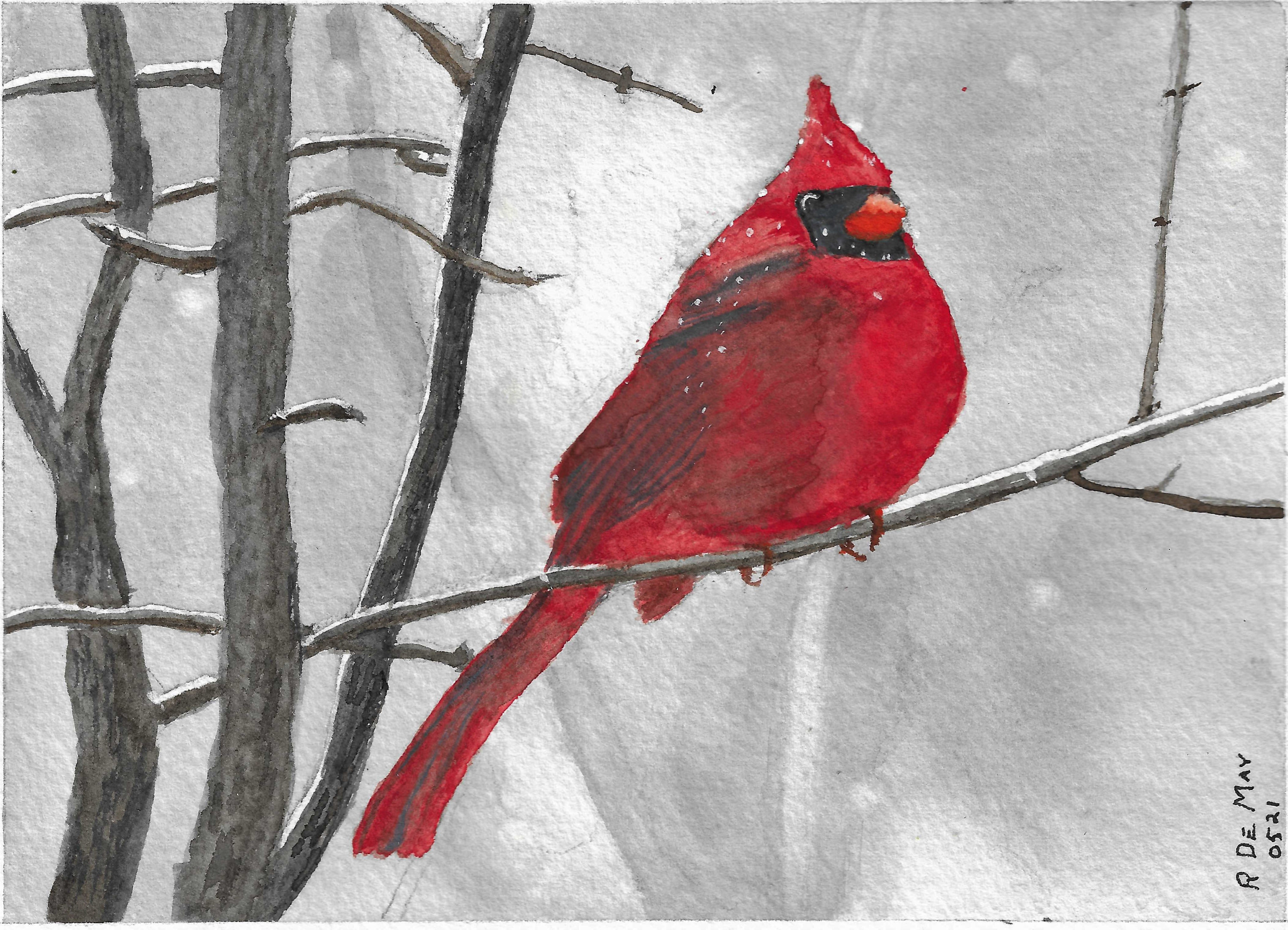 
        <div class='title'>
          Cardinal in Snow (2)
        </div>
       