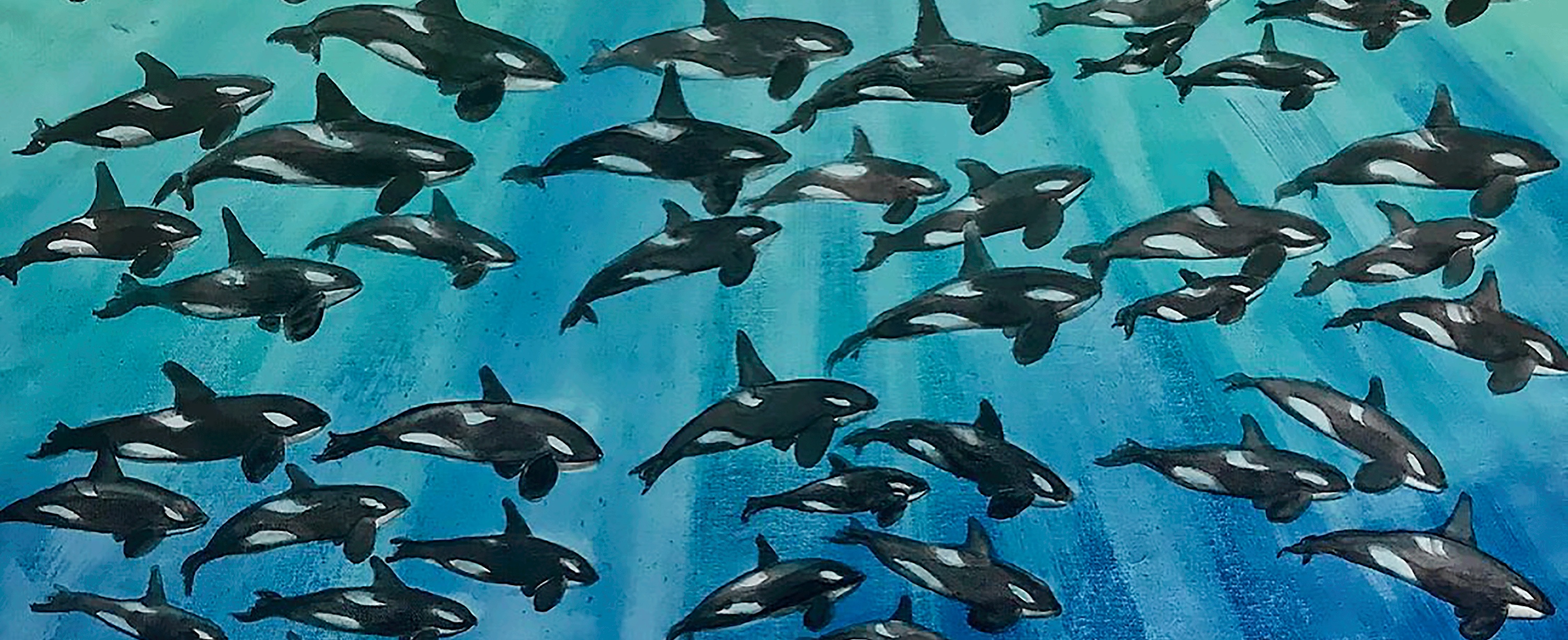 
        <div class='title'>
          orcas superpod closeup
        </div>
       