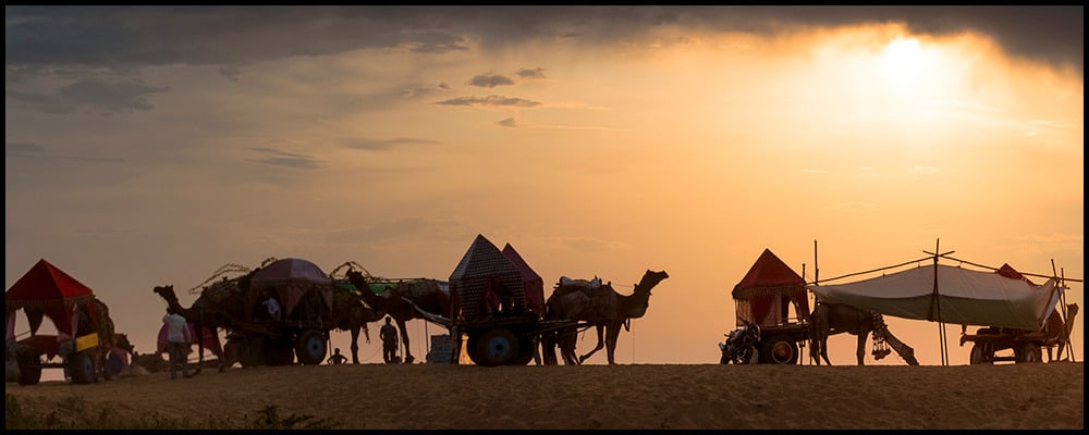 
        <div class='title'>
          DSCF0952 Camel Silhouette Pushkar Horiz Billboard
        </div>
       