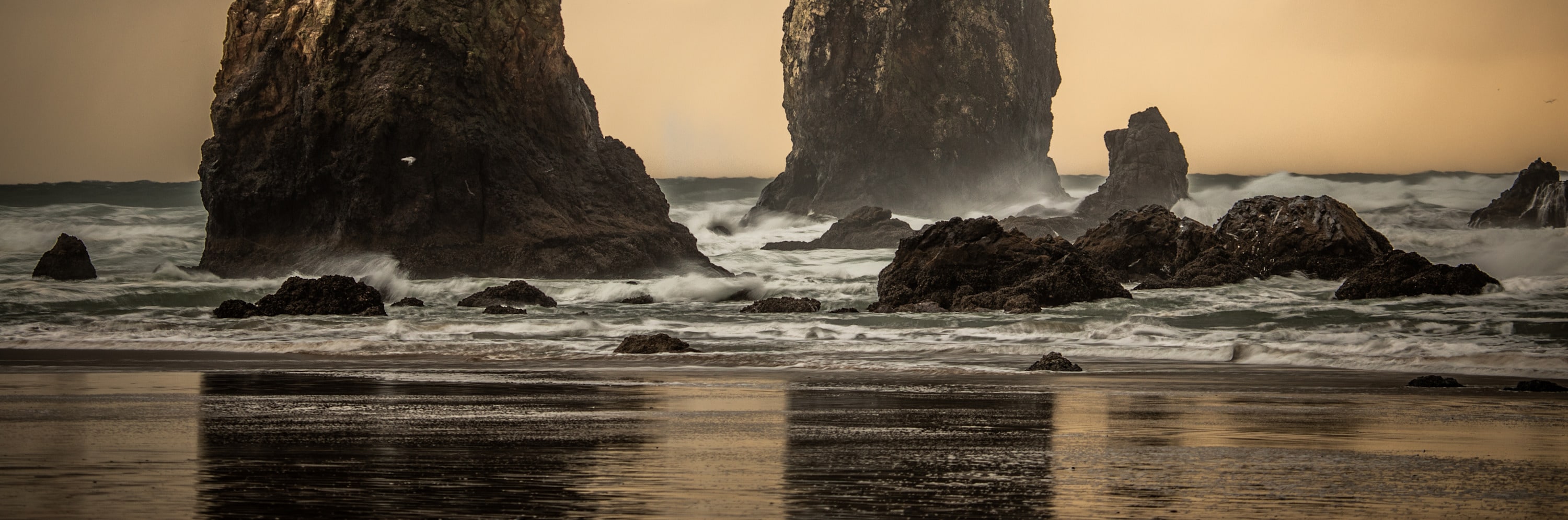 
        <div class='title'>
          Cannon Beach Oregon fhw95p
        </div>
       