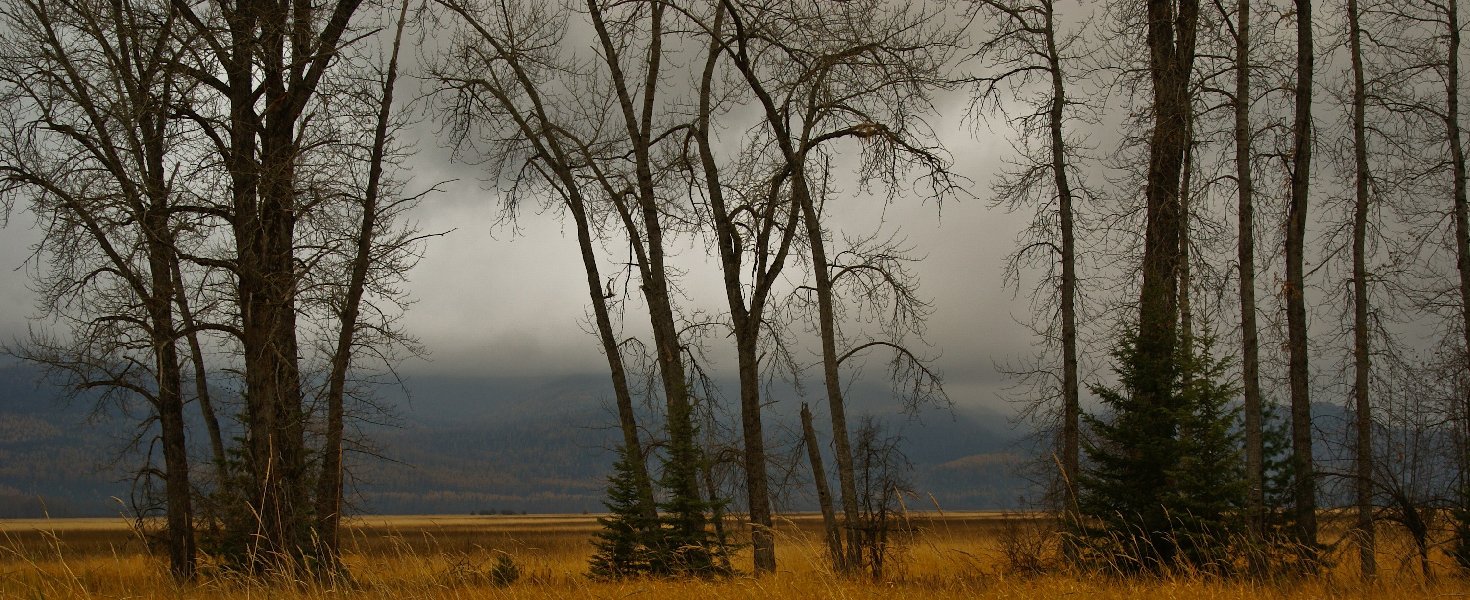 
        <div class='title'>
          a rainy morning vhjh7g
        </div>
       