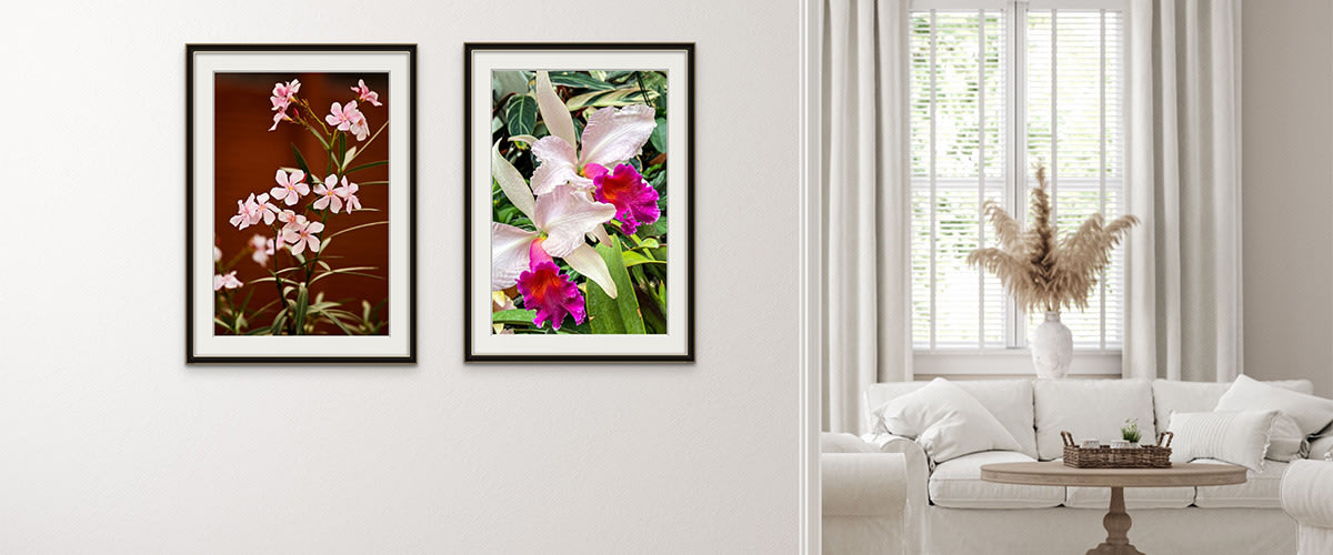 
        <div class='title'>
          Two images of flowers to brighten your wall. Fine art photography print for wall art
        </div>
       
        <div class='description'>
          Two images of flowers on hallway wall entrance to modern living room to liven up home decor
        </div>
      