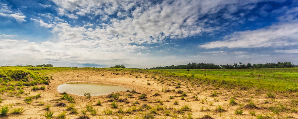 
        <div class='title'>
          5 The Prarie Pond   Slideshow
        </div>
       