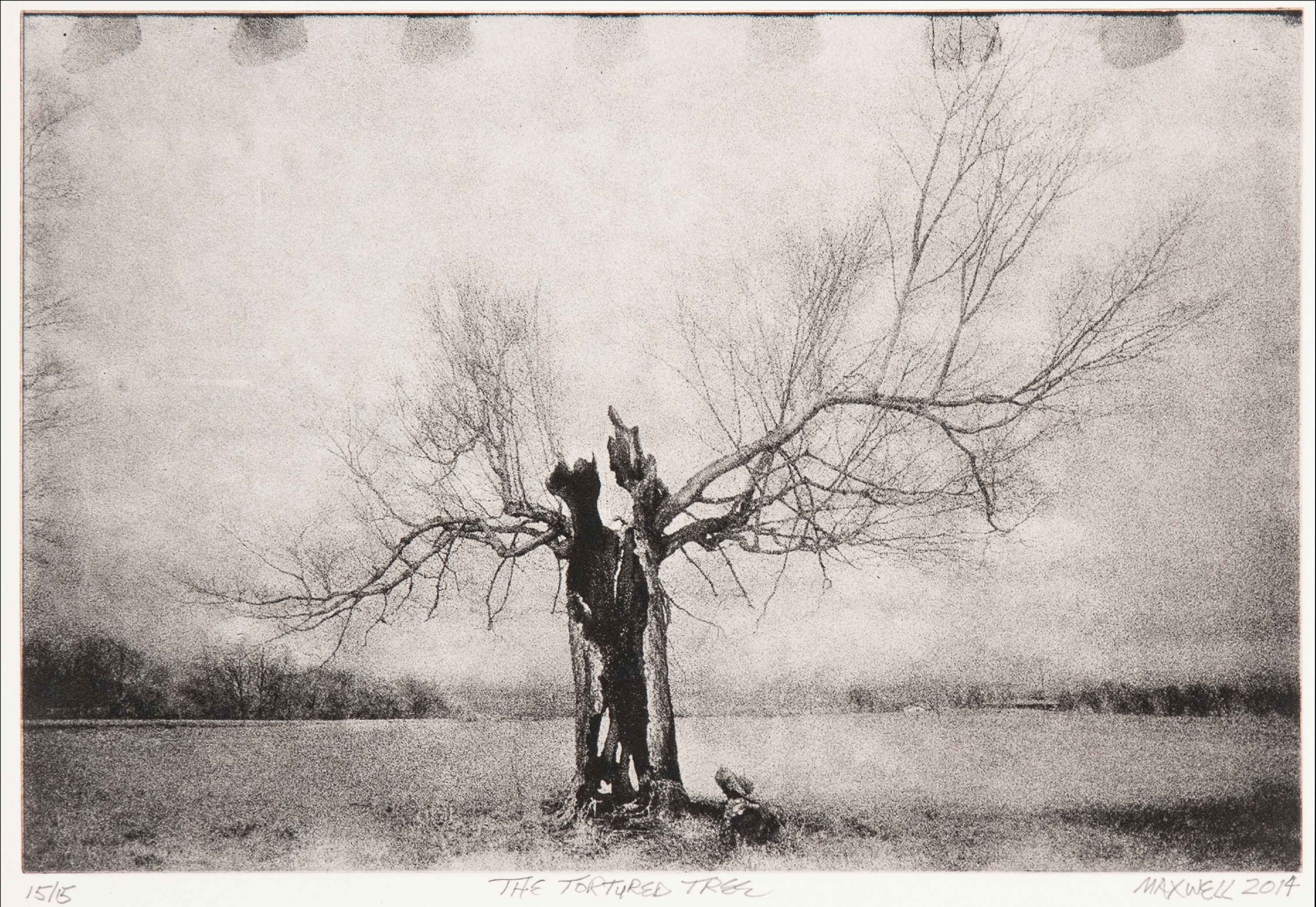 
        <div class='title'>
          The Tortured Tree 15:15 045A6904
        </div>
       