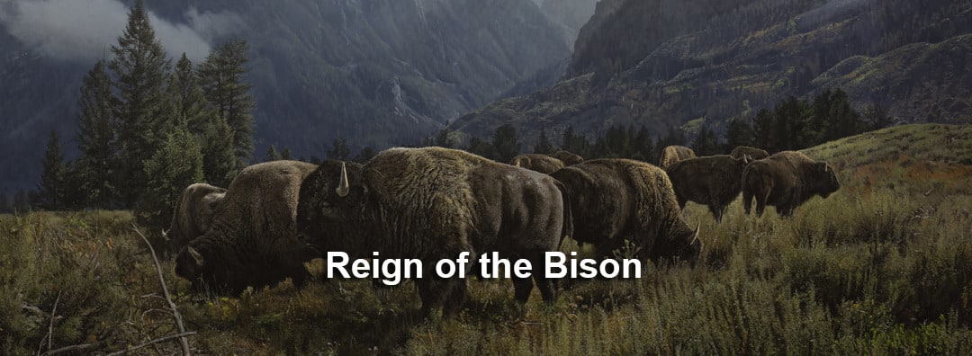 
        <div class='title'>
          Reign of the Bison
        </div>
       