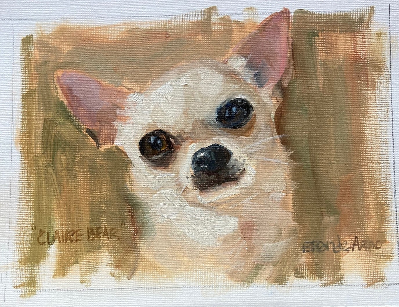 claire bear