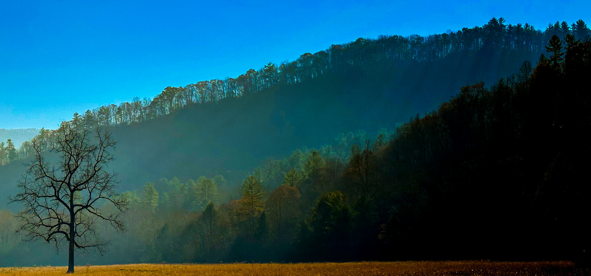 Blue Ridge Mountains FAQ's