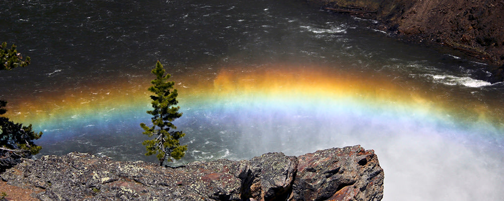 
        <div class='title'>
          Rainbow at Yellowstone Upper Falls 1000x400
        </div>
       