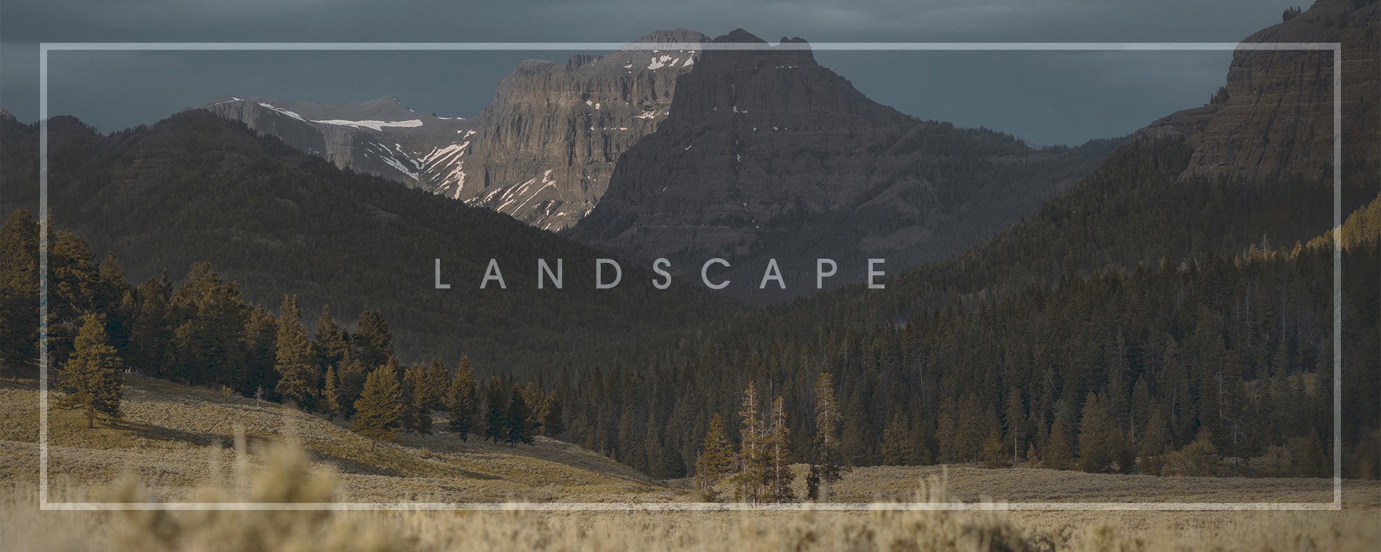 
        <div class='title'>
          Landscape Billboard 2
        </div>
       