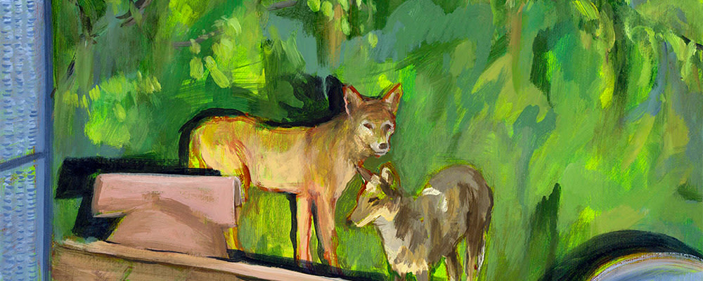 
        <div class='title'>
          two coyotes
        </div>
       