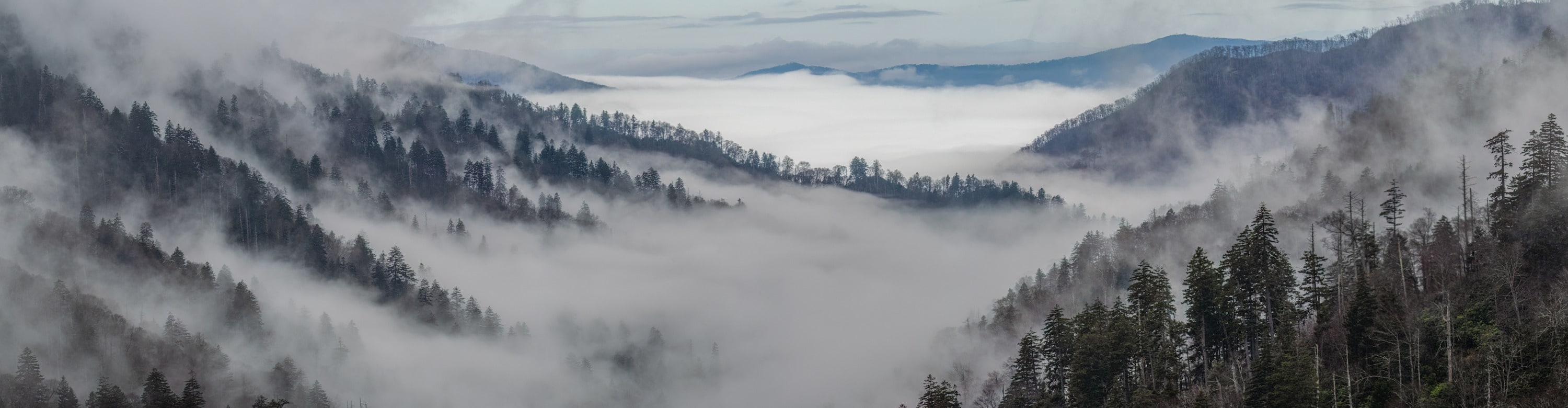 
        <div class='title'>
          Morton Overlook in Rain and Fog
        </div>
       