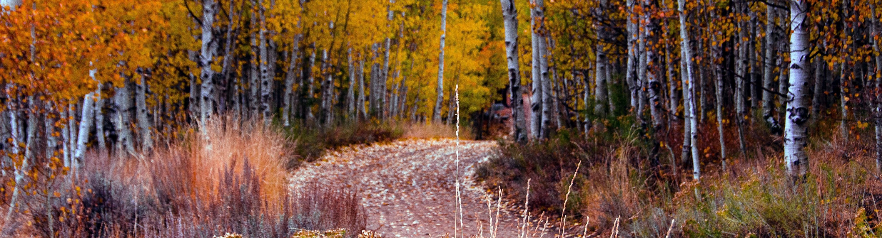 
        <div class='title'>
          Tahoe Back country
        </div>
       